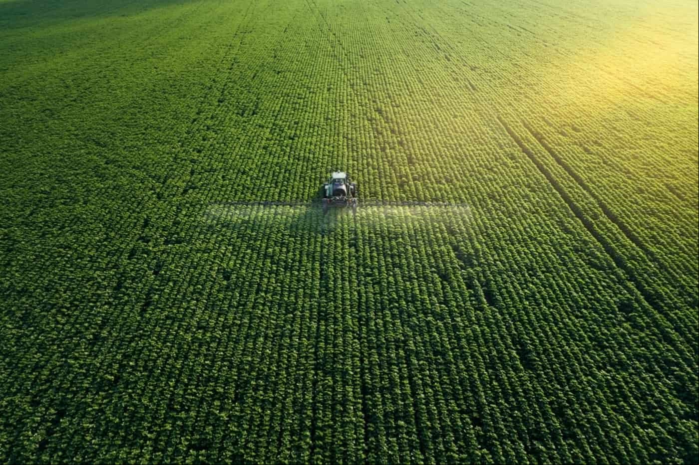 Biofertilizante brasileiro promete potencializar produção agrícola sustentável