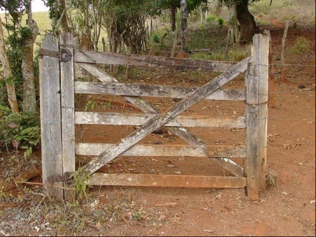 Bandidos agridem funcionários durante roubo à fazenda