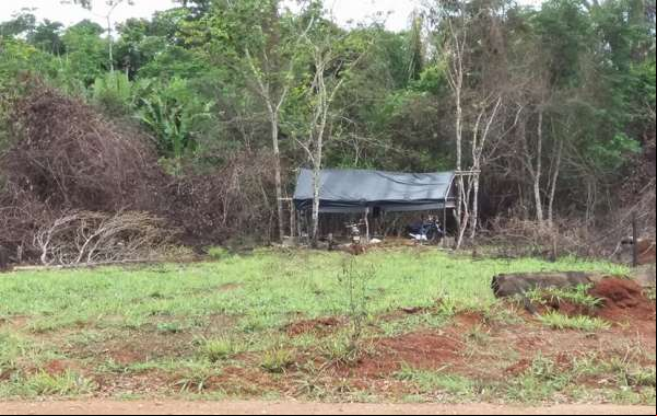 Crime - Invasores destroem área preservada de fazenda em Juína