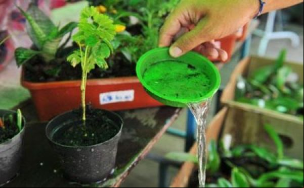 Mato Grosso registra redução de 34,85% nos casos de dengue