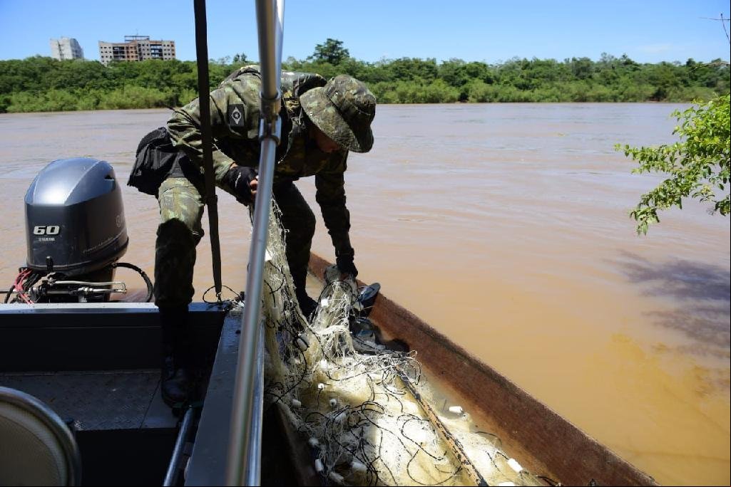 Período de Defeso da Piracema em Mato Grosso será entre outubro e janeiro