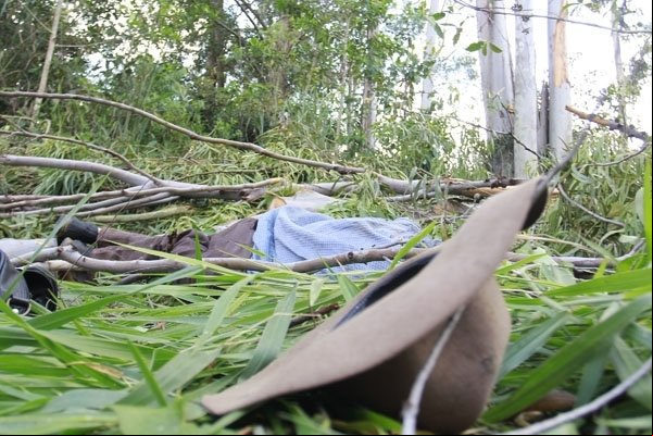 Fazendeiro é atingido por árvore ao cortá-la e morre em MT
