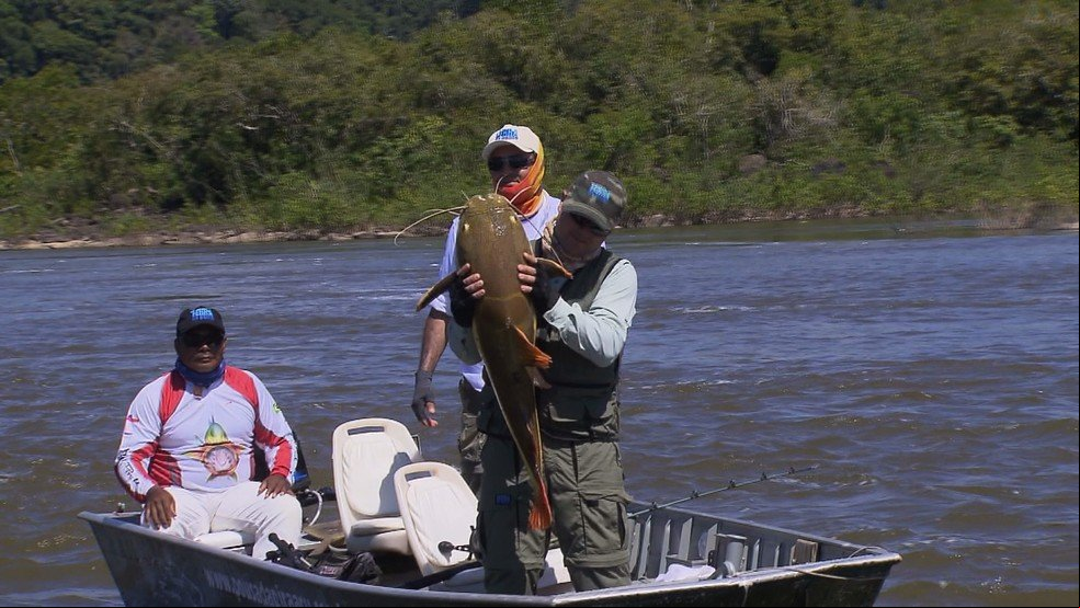 Pirarara, corvinas e barbados são fisgados no rio Aripuanã, na região Norte do Brasil