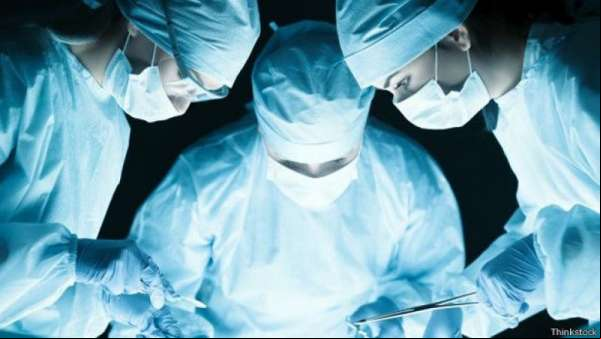 Cientistas japoneses criam rim para transplante em laboratório