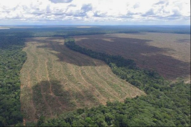 Monitoramento por satélite identifica desmatamento ilegal de 2,6 mil hectares em MT