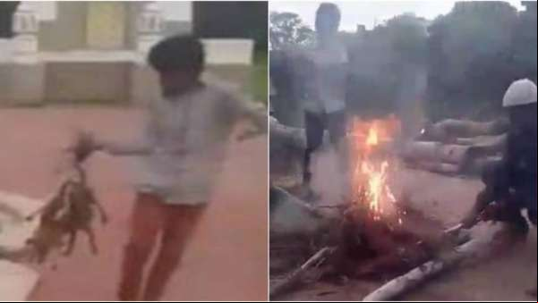 Garotos queimam três filhotes de cachorro, filmam e postam nas redes sociais; veja o vídeo