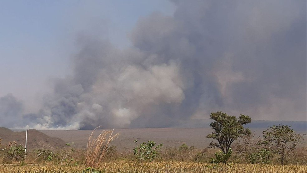 Mato Grosso lidera número de focos de calor em ranking dos estados da Amazônia Legal