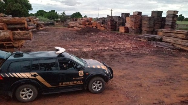PF deflagra Operação para prender integrantes responsáveis pela extração ilegal de madeiras