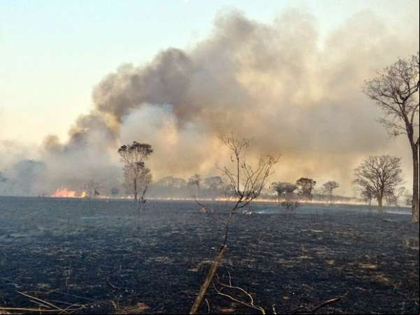 Bombeiros combatem incêndio em madeireira em MT