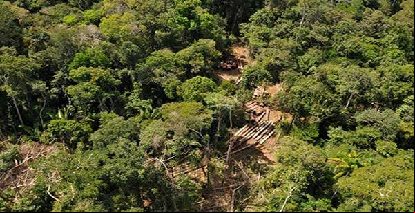Desmatamento na Amazônia tem alta em maio, mas acumulado mostra queda