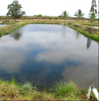 Homem morre após se afogar em tanque de criação de peixes