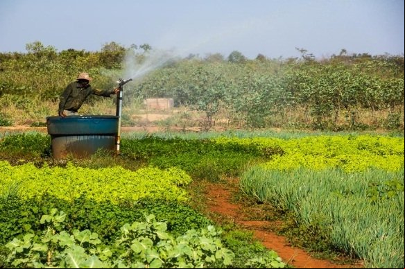 Projeto cria selo para produtos da agroindústria familiar