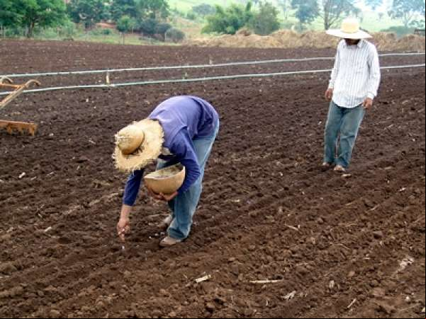 Prazo para agricultor saldar dívidas com o Pronaf termina dia 30