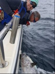 Pescadores fisgam peixe de R$ 14 mi e devolvem