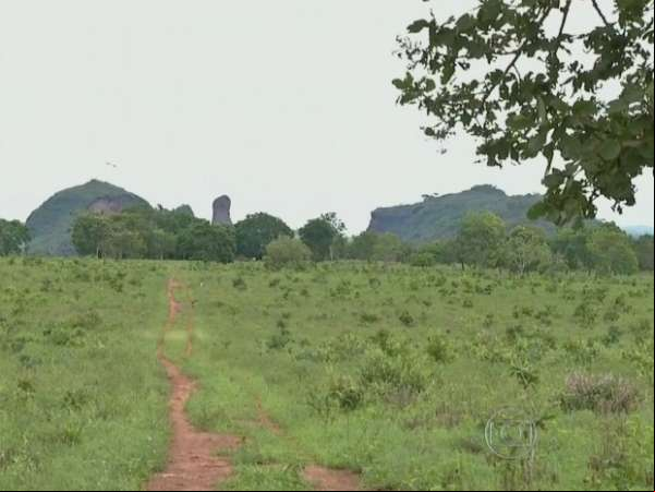 Três famílias são retiradas de reserva indígena de MT por ocupação ilegal