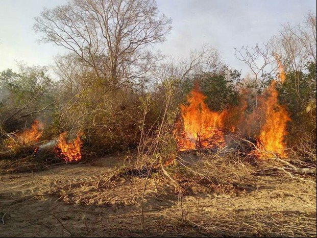 Diminui 18% foco de incêndio em MT