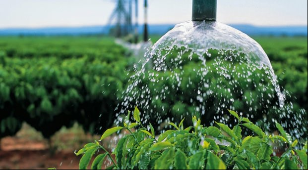 Sindicato Rural de Colniza realizará Curso de Irrigação 