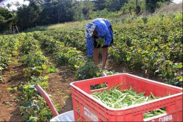 Parceria entre Secretaria e Fetagri leva curso em agropecuária para seis cidades