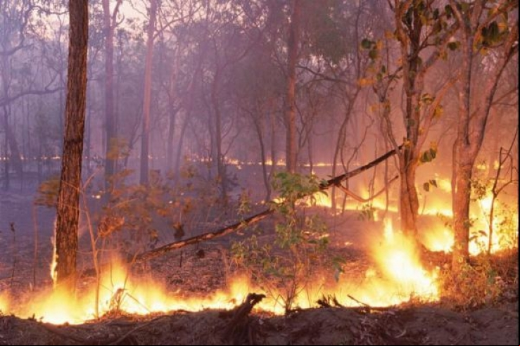 Proibição de queimadas termina com 235 focos em Colniza