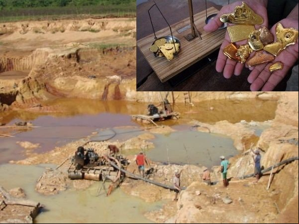 Garimpo da Região do Vale do Rio Peixoto pretende extrair 8 t de ouro