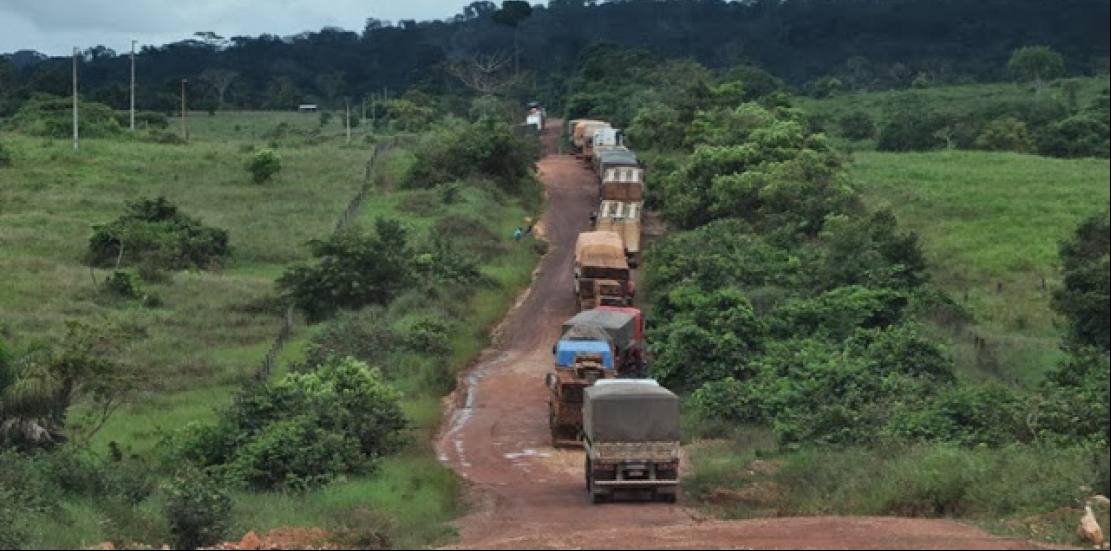 Estudos definirão pavimentação da BR-174 em Mato Grosso; recursos são liberados