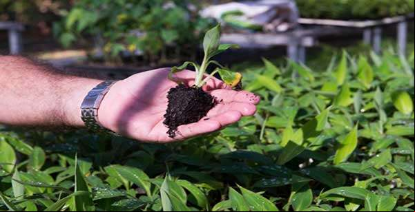Empaer atende 37,5 mil agricultores e elabora projeto no valor de R$ 76,2 milhões