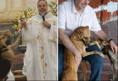 Padre leva animais abandonados pra missa