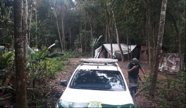 Doze pessoas são presas por extração de madeira em terra indígenas