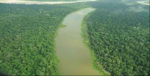Órgãos ambientais federais reagem contra manifesto da bancada do Amazonas