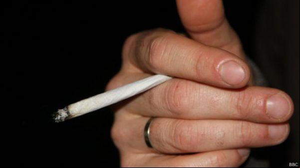 Maconha mais potente triplica risco de psicose, diz estudo