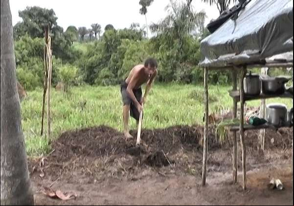 Várias invasões na zona rural são registradas em Castanheira