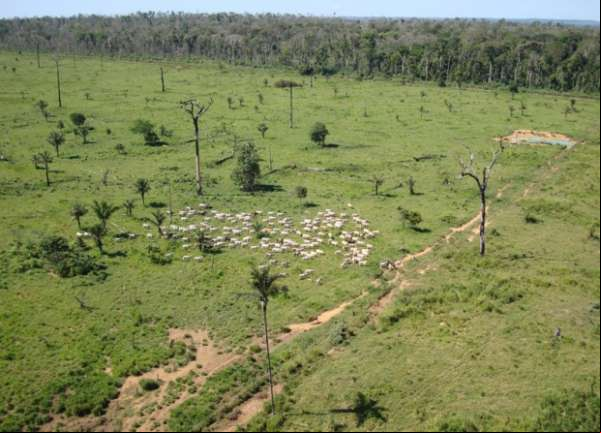 Cadastros ambientais rurais ocupam áreas de 13 terras indígenas em MT