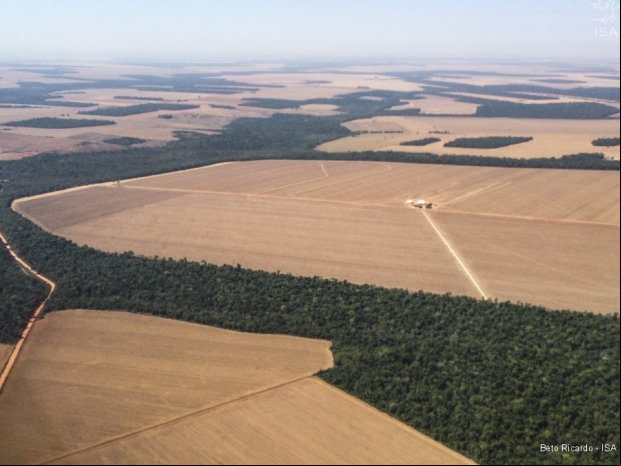 Mato Grosso reduz desmatamento na Amazônia em 22%