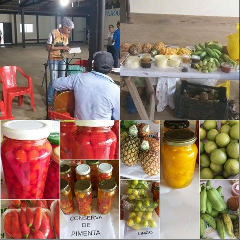 Produtores Rurais de Colniza Fazem Feira Agroecológica