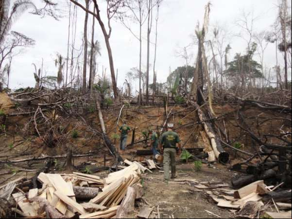 Desmatamento aumenta 190% em fevereiro e março em MT
